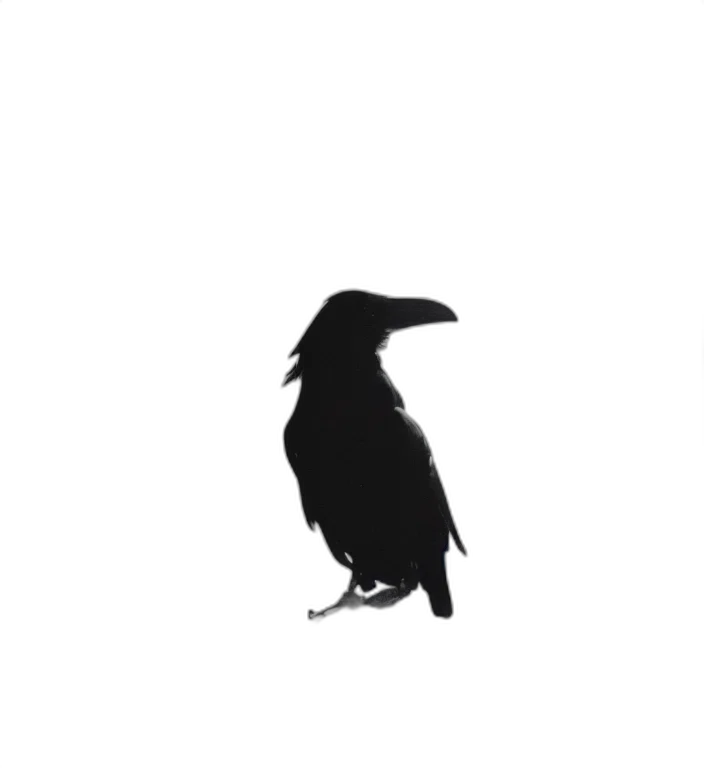 animal, creature, staff, jacket transparent PNG cut-out