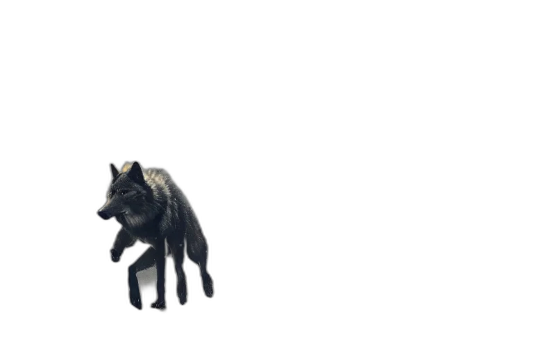 animal, creature, dragon, weapon transparent PNG cut-out