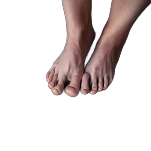 shoes, creature, face, animal transparent PNG cut-out