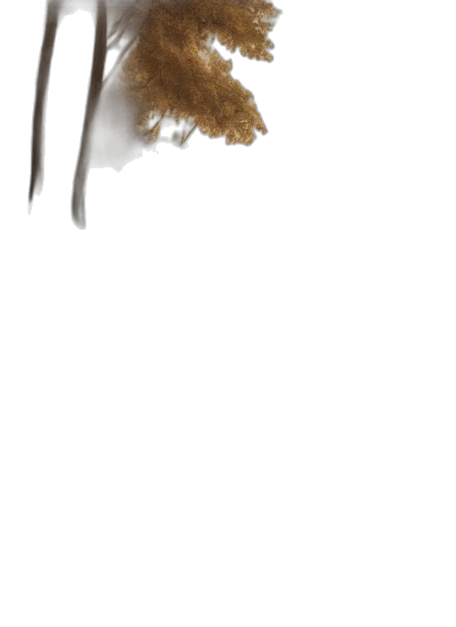 hair, hat, staff, animal transparent PNG cut-out