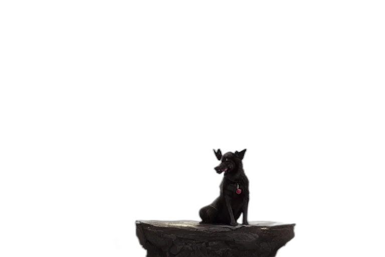 animal, dragon, creature, staff transparent PNG cut-out
