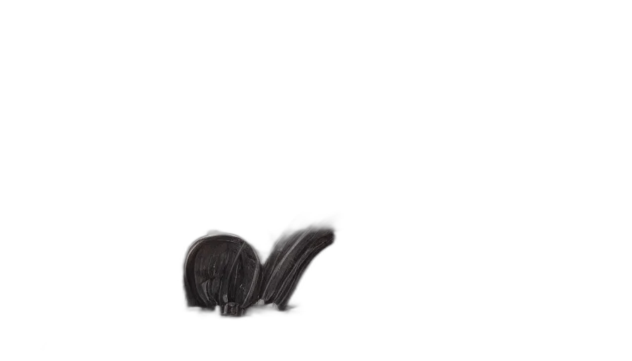 hair, hat, animal, creature transparent PNG cut-out