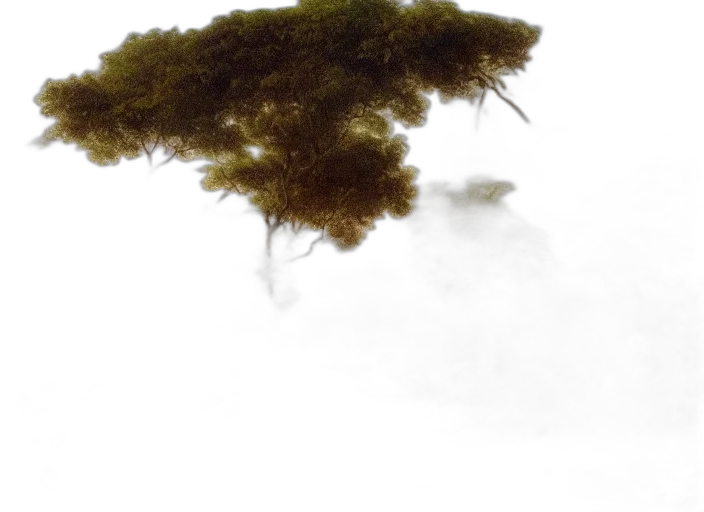 tree, dragon, crown, creature transparent PNG cut-out