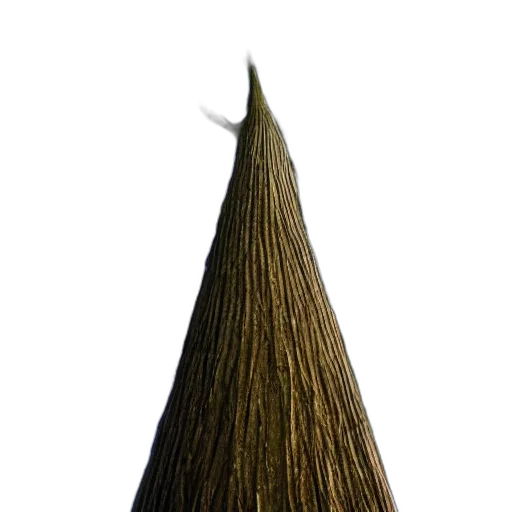 hair, hat, staff, crown transparent PNG cut-out
