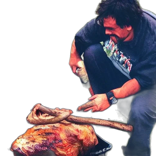animal, food, staff, creature transparent PNG cut-out