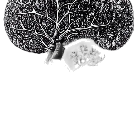 tree, crown, hair, jewelry transparent PNG cut-out