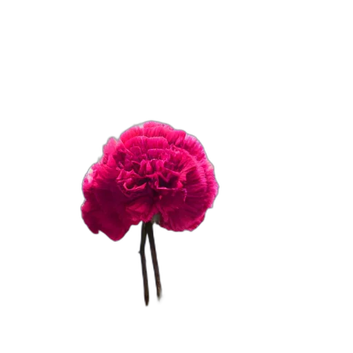 flower, crown, hat, umbrella transparent PNG cut-out