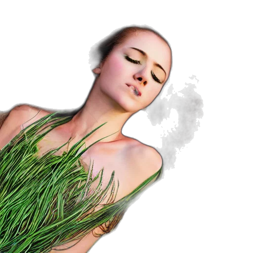 photorealistic, 3d render, green, grass transparent PNG cut-out
