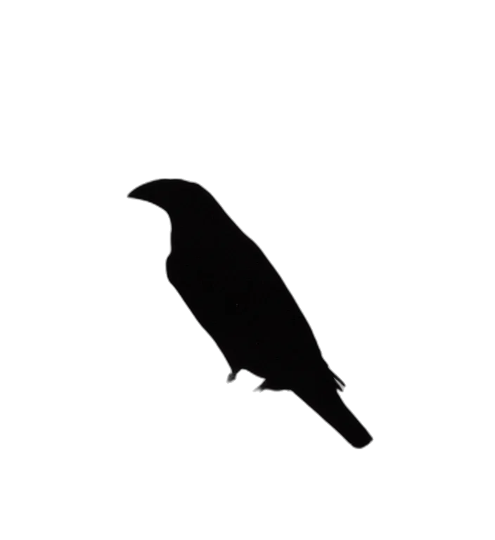 animal, staff, creature, hat transparent PNG cut-out