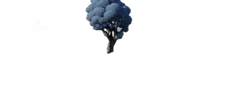 tree, umbrella, crown, flower transparent PNG cut-out