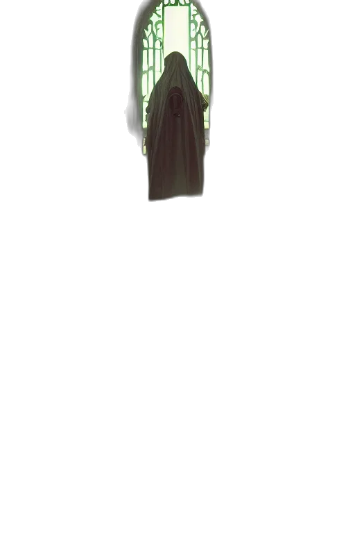 dress, staff, jacket, tree transparent PNG cut-out