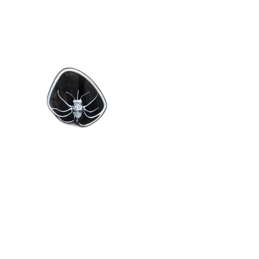 crown, mask, jewelry, hair transparent PNG cut-out