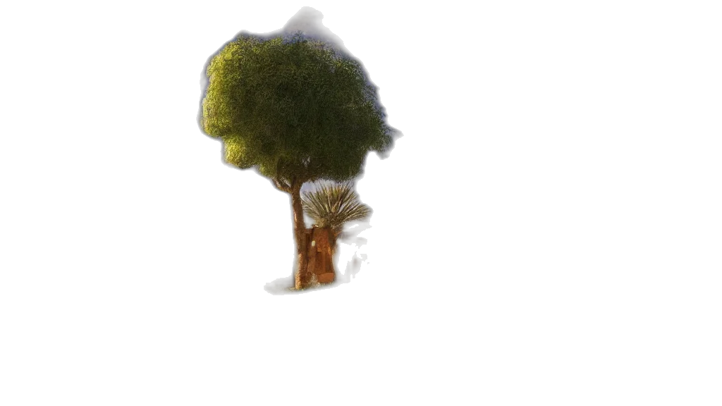 tree, hair, crown, creature transparent PNG cut-out