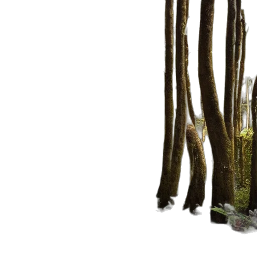 tree, furniture, staff, hair transparent PNG cut-out