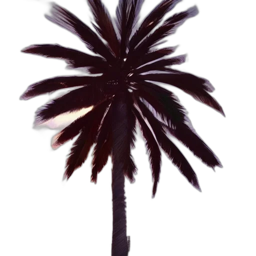 staff, umbrella, tree, hair transparent PNG cut-out