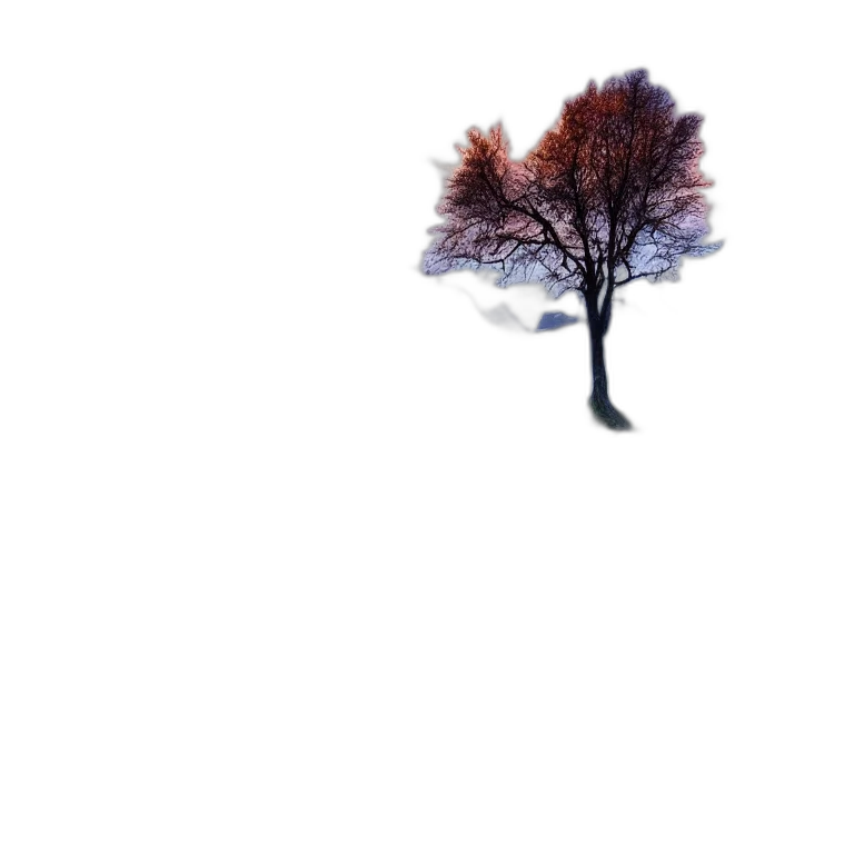 tree, umbrella, crown, hat transparent PNG cut-out