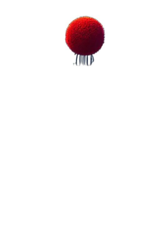 hat, hair, staff, crown transparent PNG cut-out