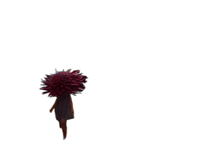 flower, hair, umbrella, hat transparent PNG cut-out