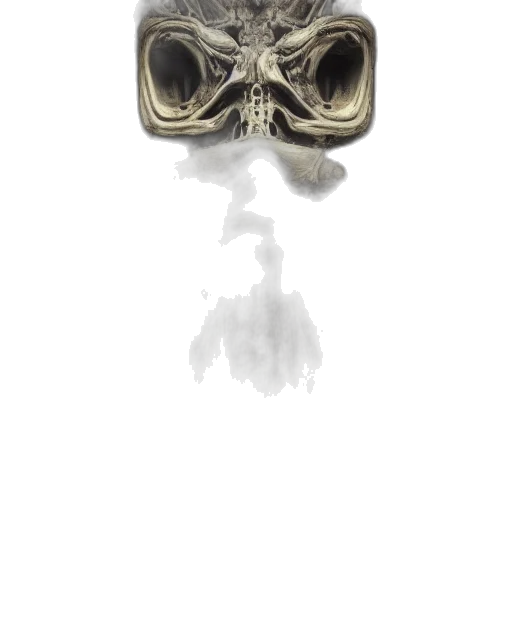mask, jewelry, crown, face transparent PNG cut-out