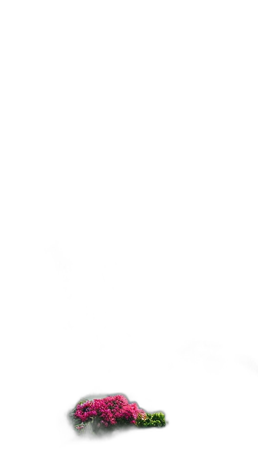 staff, dress, face, robot transparent PNG cut-out