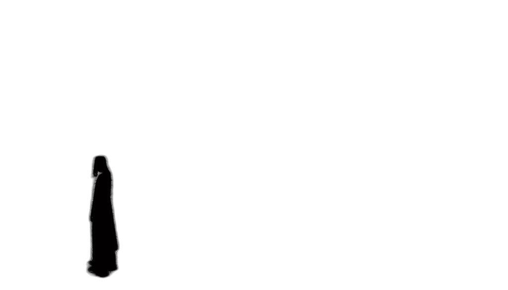 jacket, dress, staff, umbrella transparent PNG cut-out