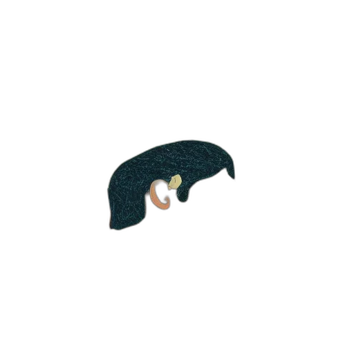 hat, hair, animal, creature transparent PNG cut-out