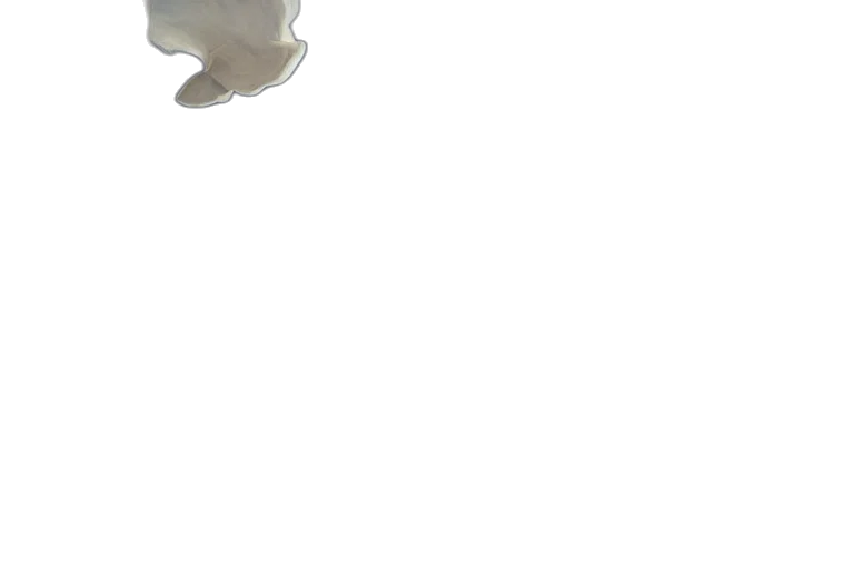 mask, hat, flower, face transparent PNG cut-out