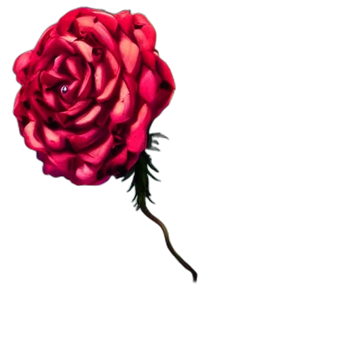 flower, crown, umbrella, hair transparent PNG cut-out