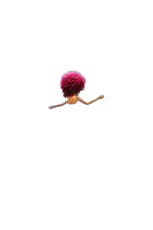 hair, staff, flower, umbrella transparent PNG cut-out
