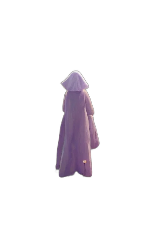 dress, staff, jacket, hat transparent PNG cut-out