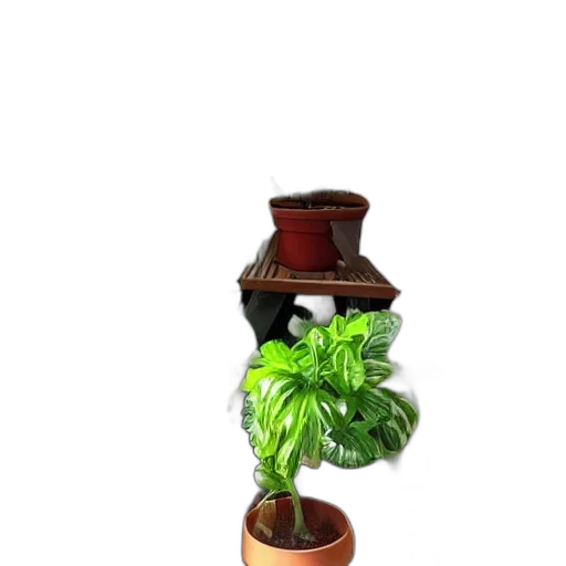 staff, crown, furniture, bottle transparent PNG cut-out