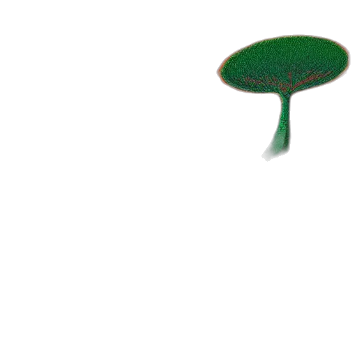 tree, umbrella, hat, furniture transparent PNG cut-out