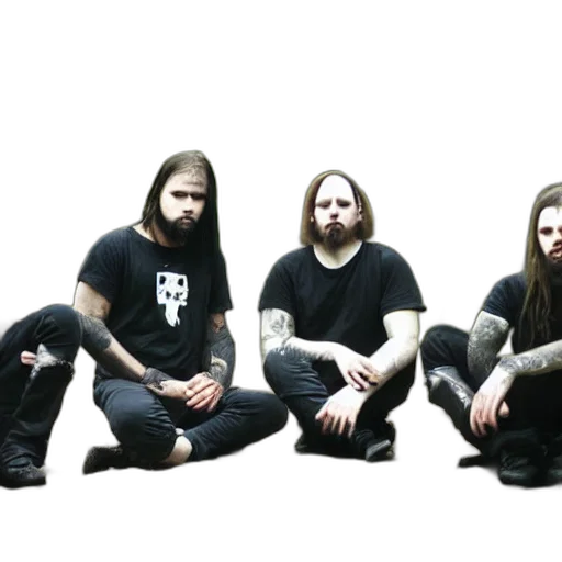 hair, members, black, metal transparent PNG cut-out
