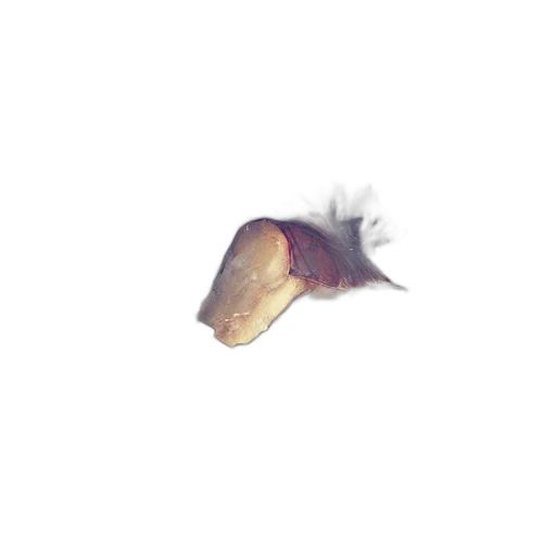 dragon, animal, creature, hair transparent PNG cut-out