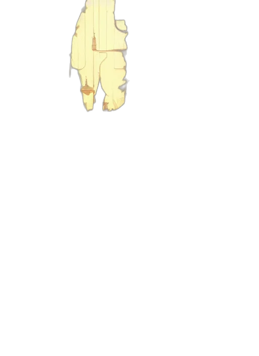 staff, creature, animal, dress transparent PNG cut-out