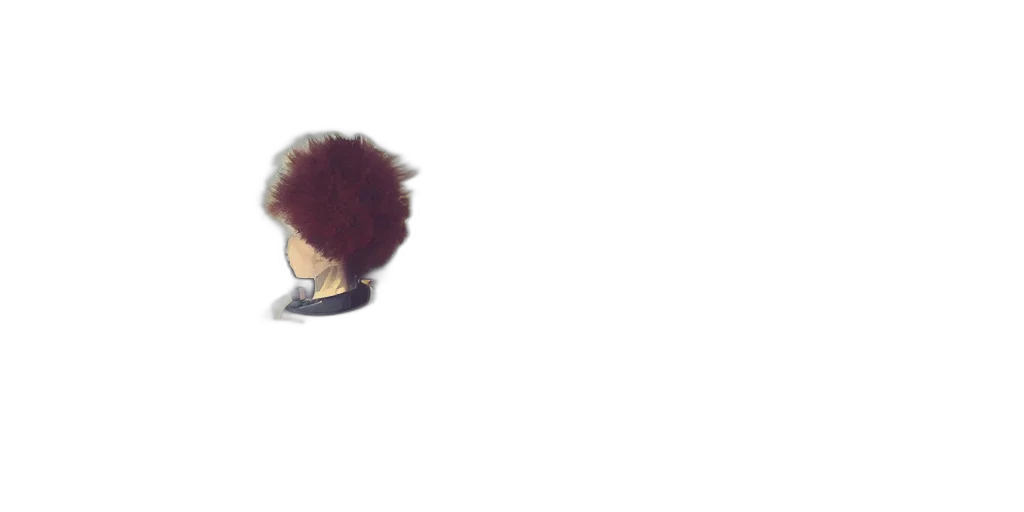 hair, hat, creature, staff transparent PNG cut-out