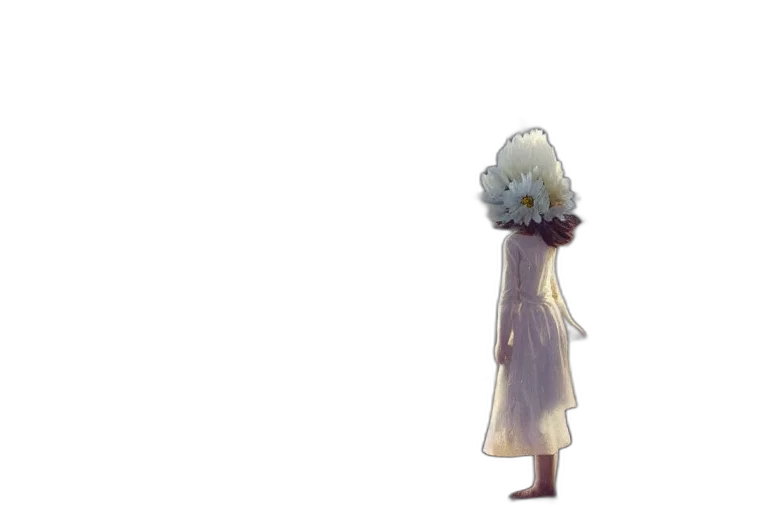 dress, crown, flower, hat transparent PNG cut-out