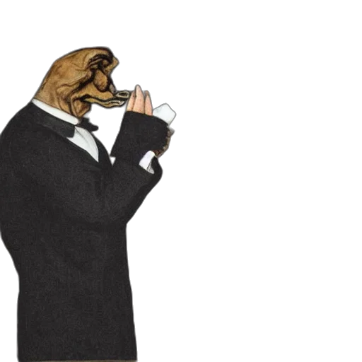 jacket, mask, animal, hat transparent PNG cut-out