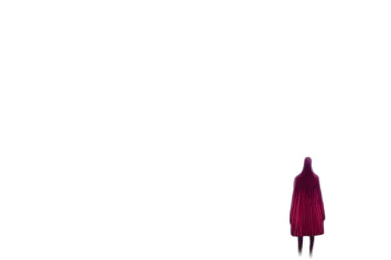 dress, jacket, umbrella, hair transparent PNG cut-out