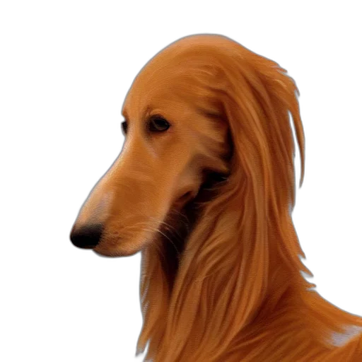 hair, animal, creature, face transparent PNG cut-out