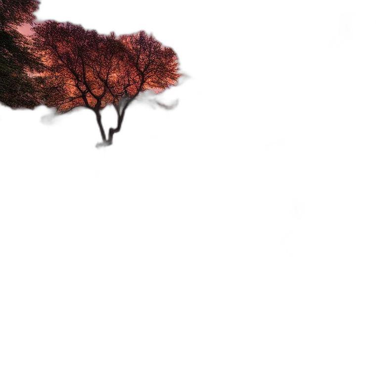 tree, umbrella, animal, hair transparent PNG cut-out