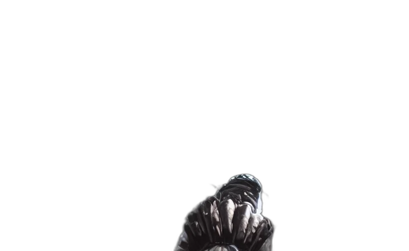mask, creature, jacket, animal transparent PNG cut-out