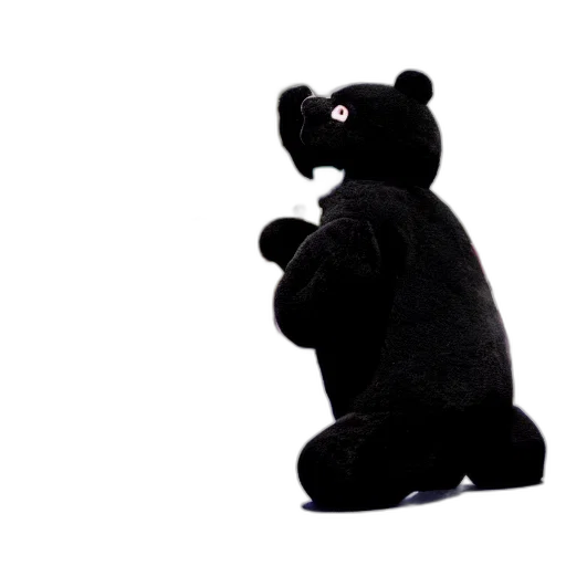 animal, creature, staff, furniture transparent PNG cut-out