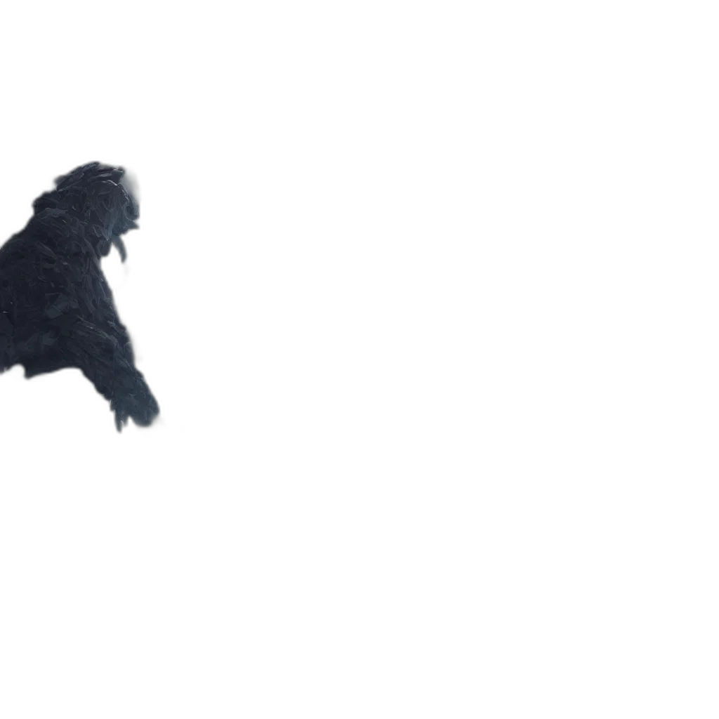 dragon, animal, creature, hair transparent PNG cut-out
