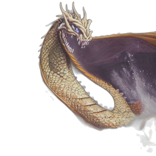 dragon, creature, crown, animal transparent PNG cut-out