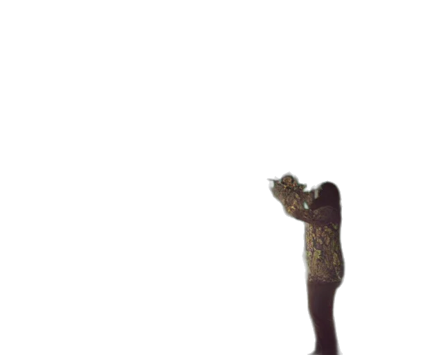 staff, creature, animal, robot transparent PNG cut-out