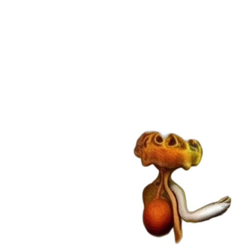 animal, staff, creature, food transparent PNG cut-out