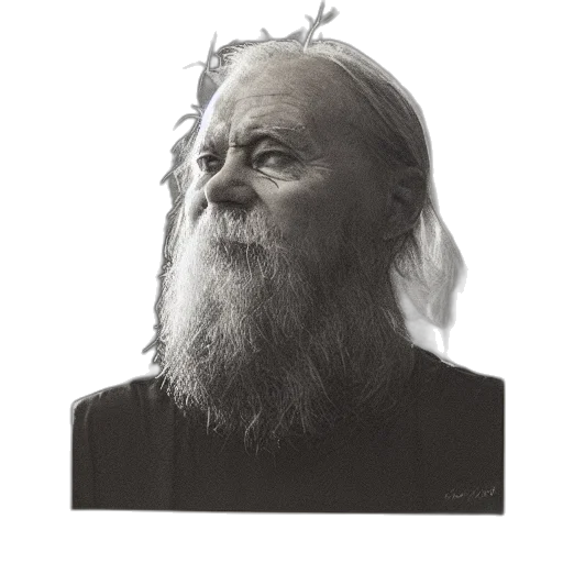 face, hair, mask, animal transparent PNG cut-out
