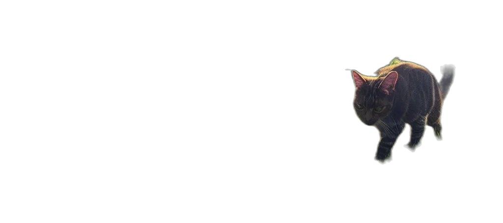 animal, staff, creature, hat transparent PNG cut-out