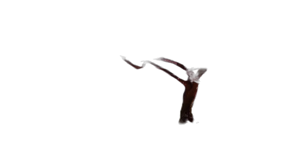 staff, hair, animal, weapon transparent PNG cut-out